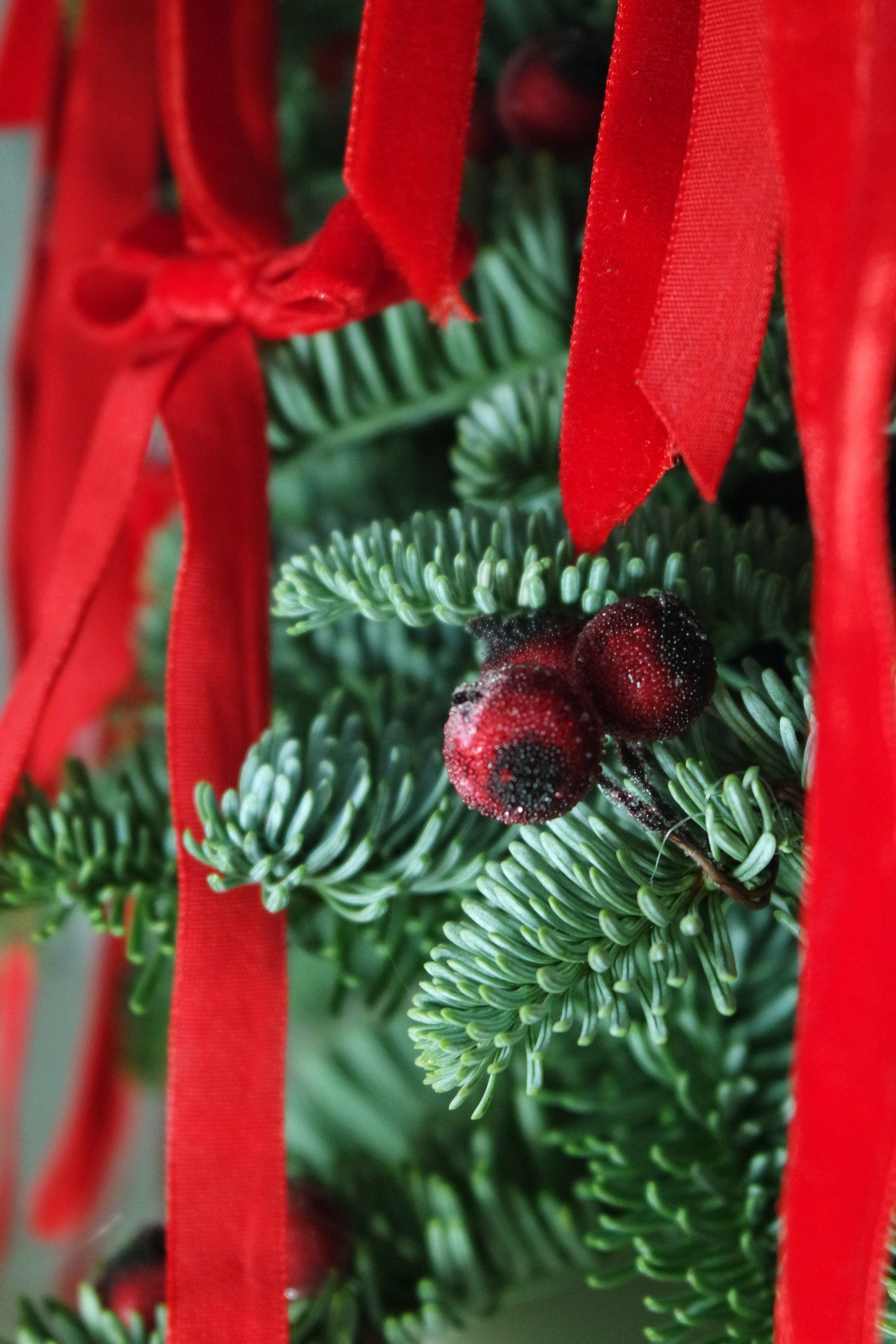 Christmas tree Red Velvet